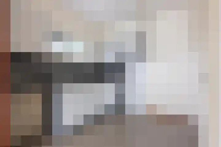 Insula 91 Heerlen thumbnail 11