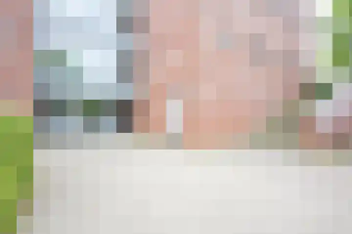 Insula 91 Heerlen foto 2