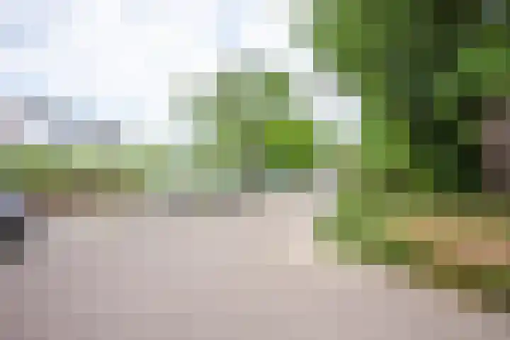 Insula 91 Heerlen thumbnail 20