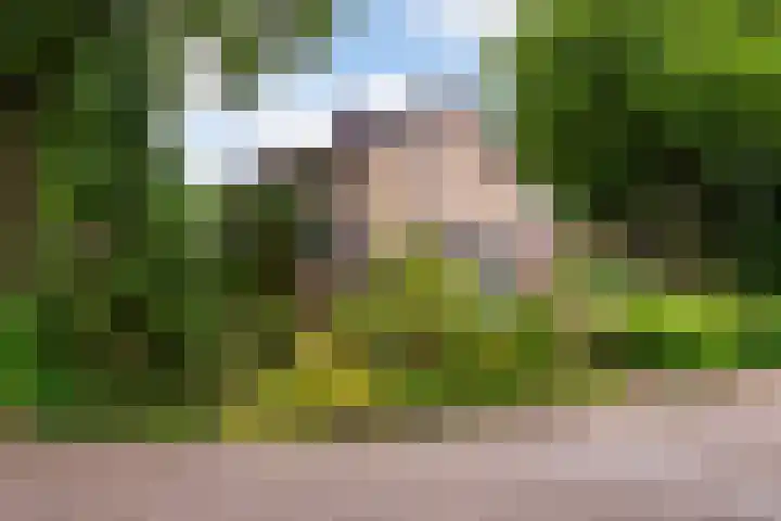 Insula 91 Heerlen thumbnail 4