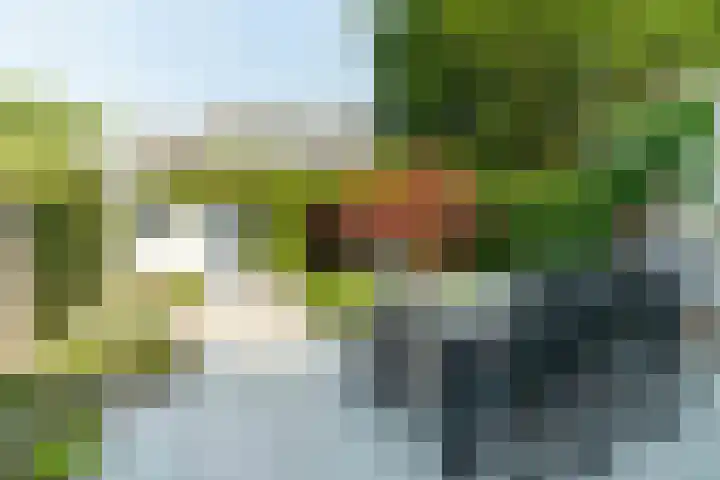 Insulindeweg 232 Delft thumbnail 17