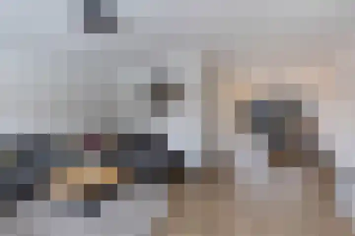 Intang 10 Lemmer thumbnail 10