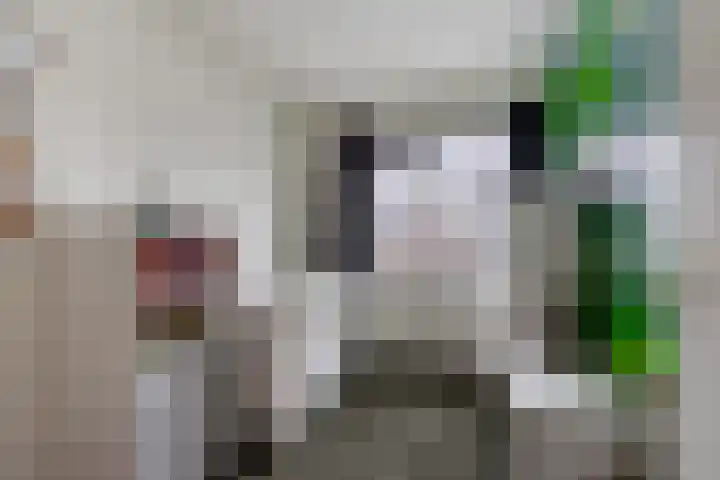 Intang 10 Lemmer thumbnail 25