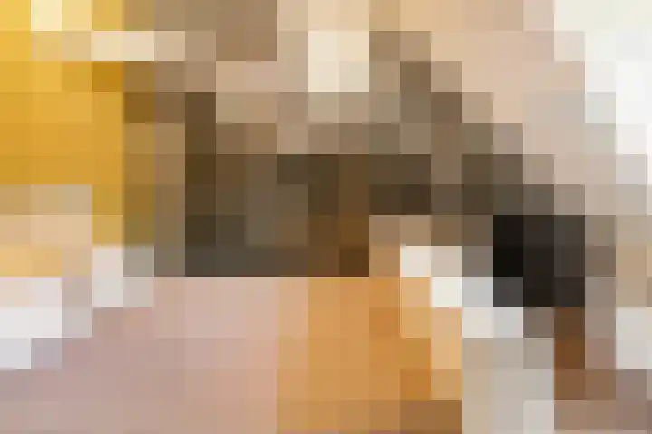 Kantoor foto van Interhouse makelaars Amsterdam