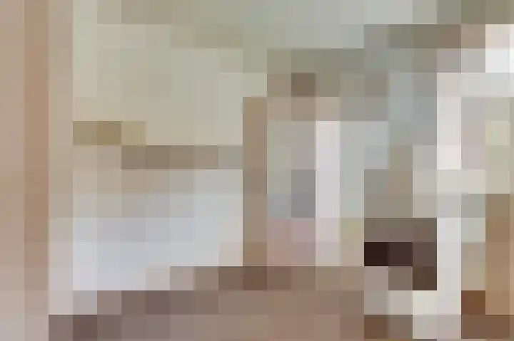 Inthiemasingel 19 Workum thumbnail 10
