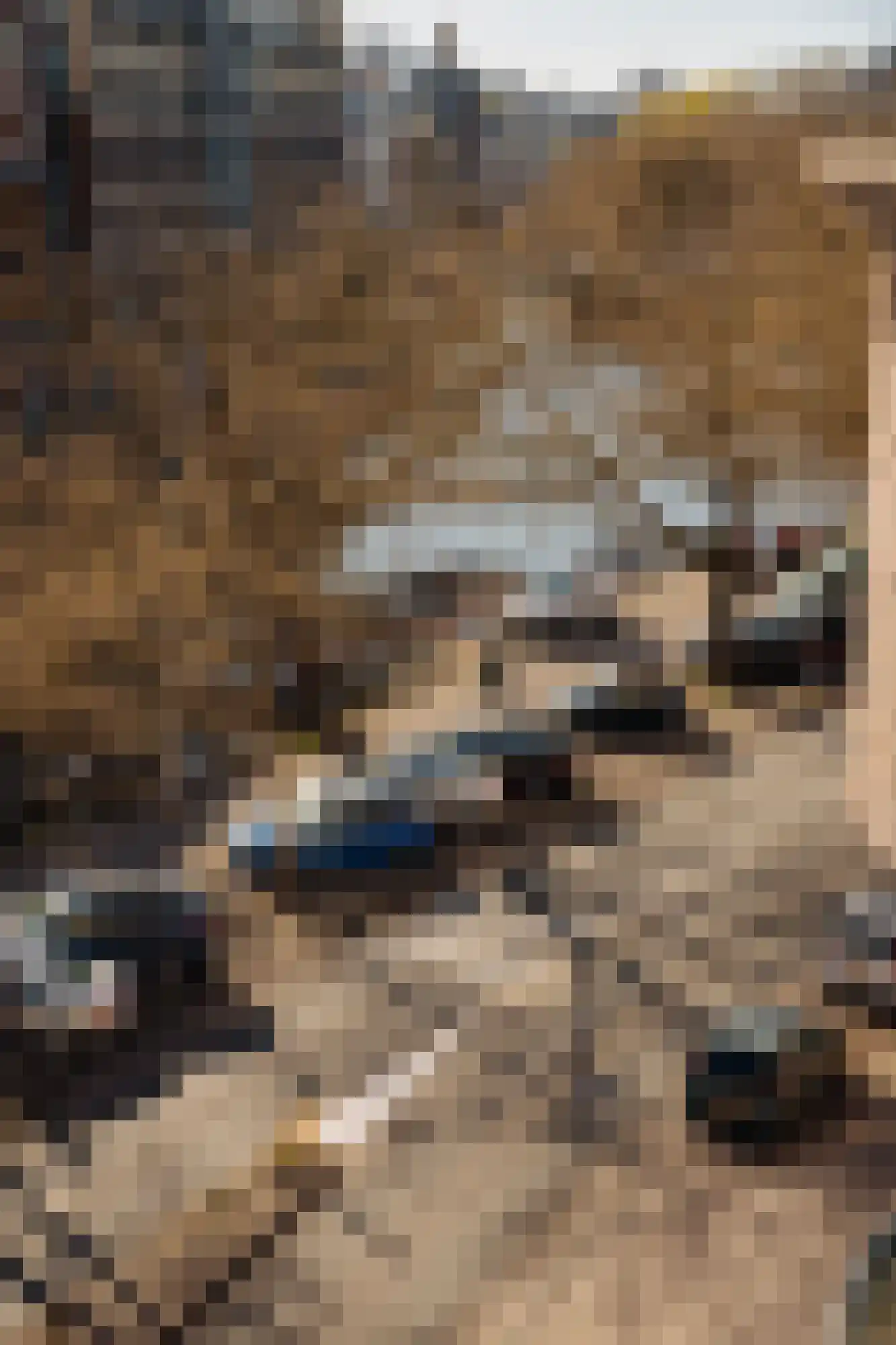 Inthiemasingel 19 Workum thumbnail 16