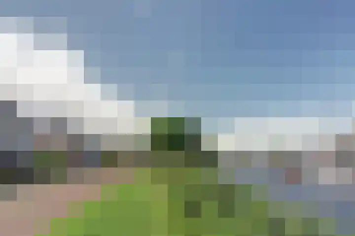 Inthiemasingel 19 Workum thumbnail 27