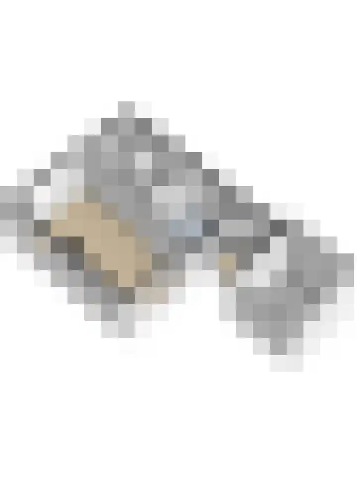 Inthiemasingel 19 Workum thumbnail 31