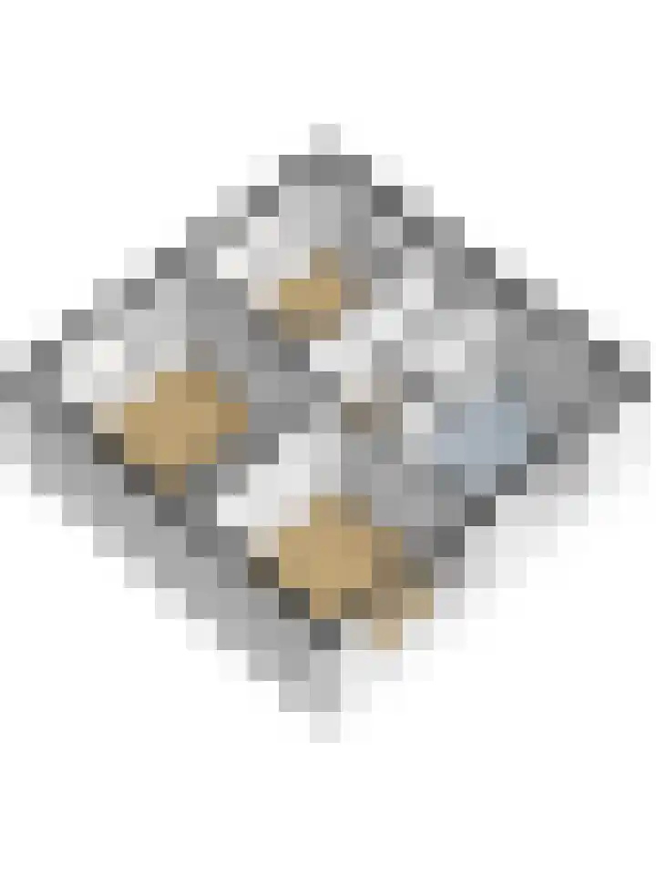 Inthiemasingel 19 Workum thumbnail 33