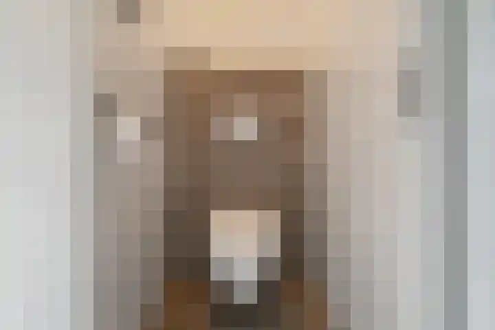 Inthiemasingel 19 Workum thumbnail 34