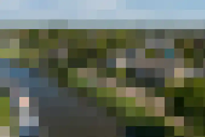 Inthiemasingel 19 Workum thumbnail 38