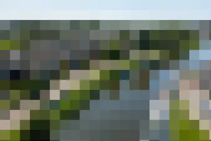 Inthiemasingel 19 Workum thumbnail 4