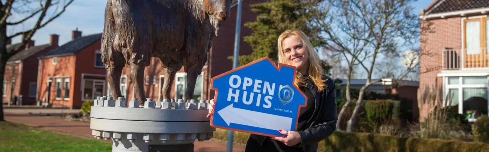 Photo d'équipe de iQ Makelaars Midden-Groningen