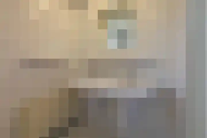 Ir. Dingerlaan 5 Heerlen thumbnail 22