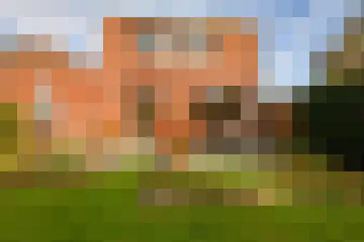 Ir. Dingerlaan 5 Heerlen thumbnail 27