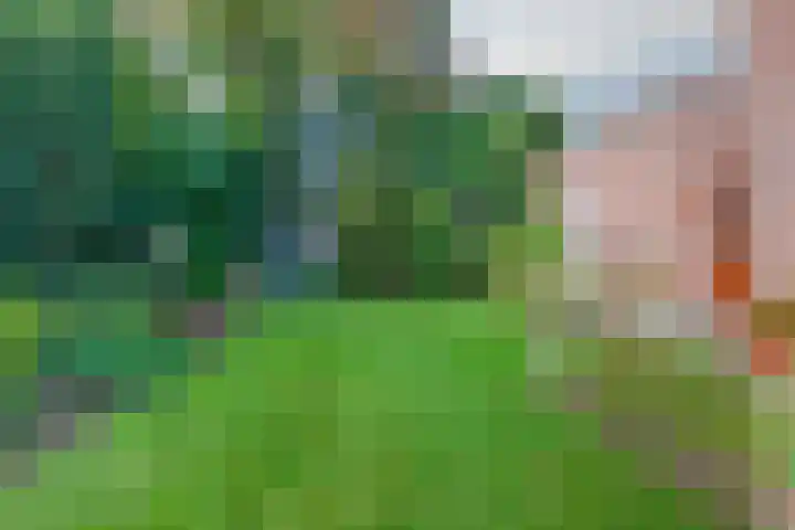 Ir. Dingerlaan 5 Heerlen thumbnail 5
