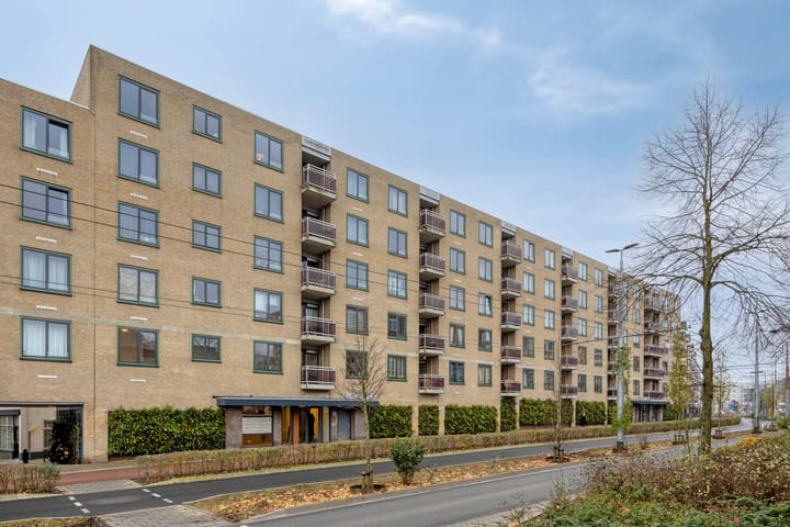 Ir J.P. van Muijlwijkstraat 302 in Arnhem foto