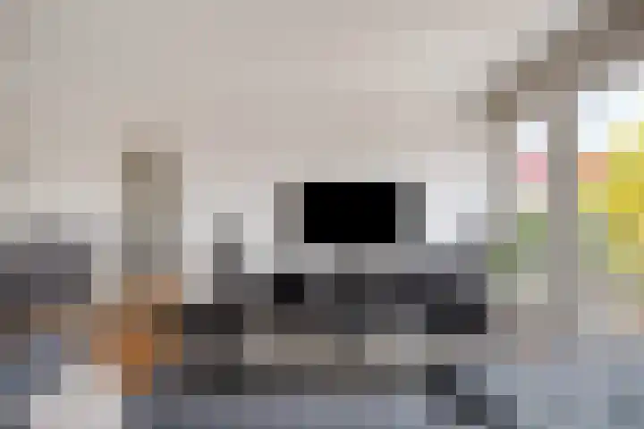 Ir. Kippermanstraat 16 Tilburg thumbnail 16