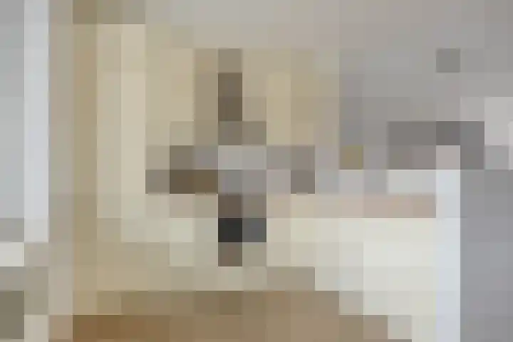 Ir. Kippermanstraat 16 Tilburg thumbnail 20