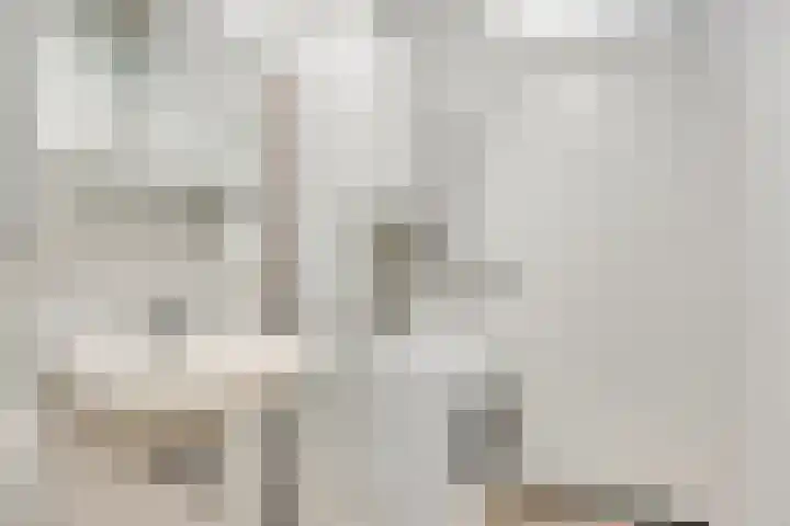 Ir. Kippermanstraat 16 Tilburg thumbnail 31