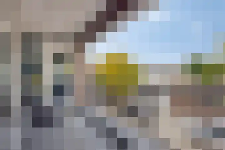 Ir. Kippermanstraat 16 Tilburg thumbnail 34