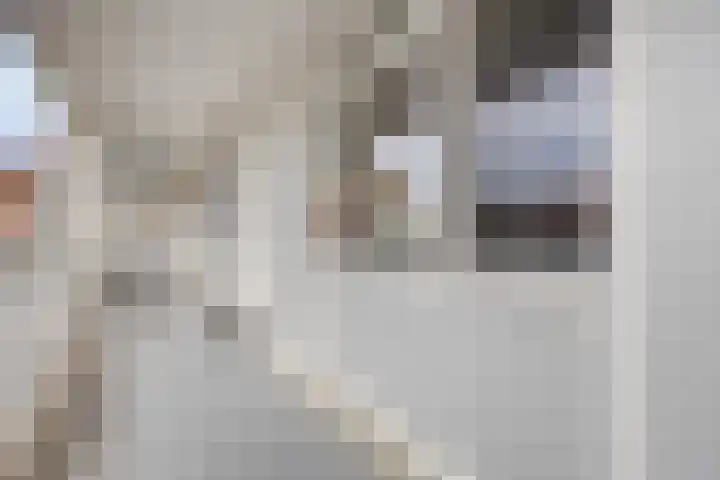Ir. Kippermanstraat 16 Tilburg thumbnail 8