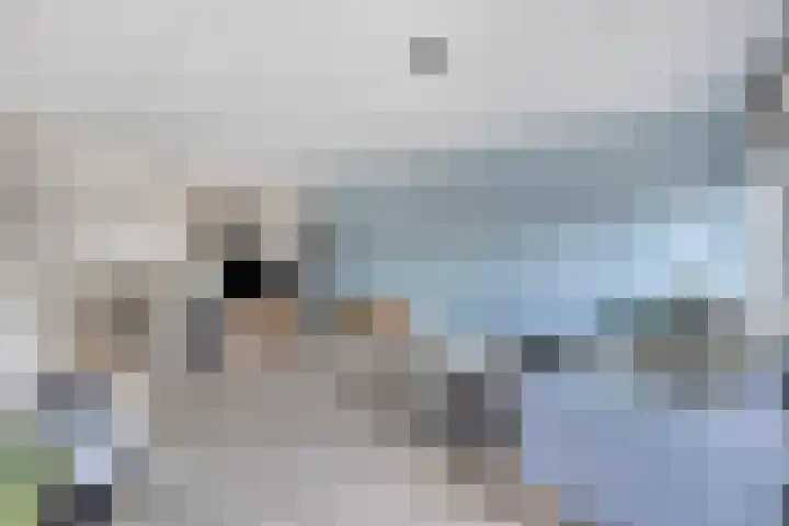 Ir. Kippermanstraat 30 Tilburg thumbnail 17