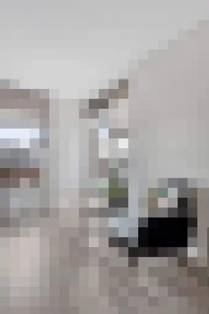 Ir. Kippermanstraat 30 Tilburg thumbnail 19