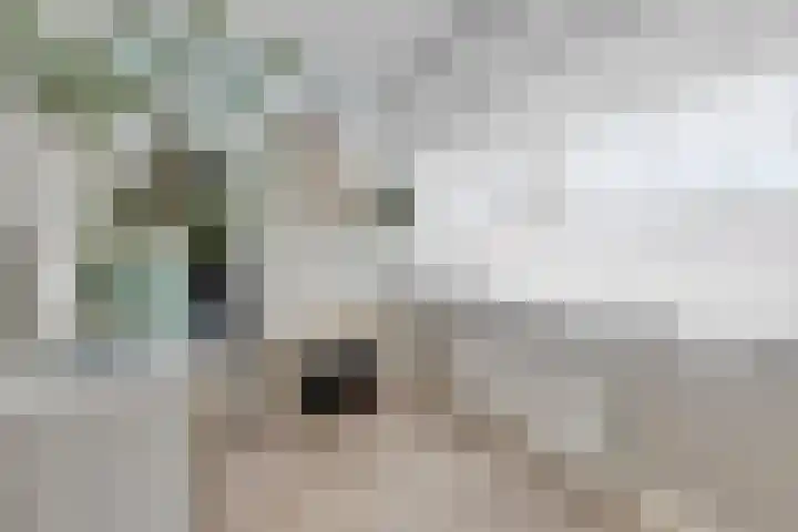 Ir. Kippermanstraat 30 Tilburg thumbnail 33