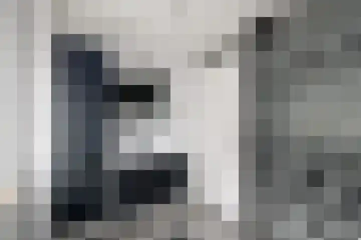 Ir.Lelylaan 101 Wolvega thumbnail 27