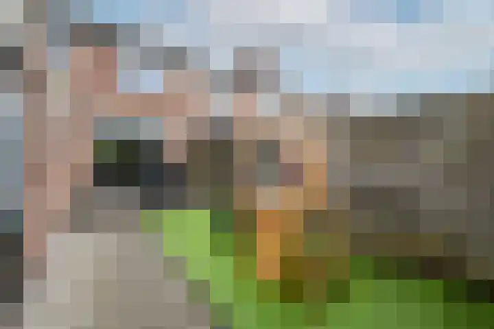 Ir.Lelylaan 101 Wolvega thumbnail 29
