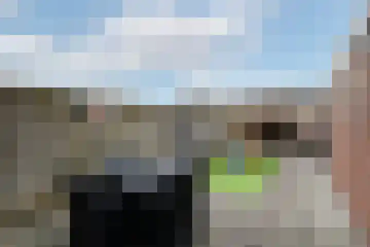 Ir.Lelylaan 101 Wolvega thumbnail 31