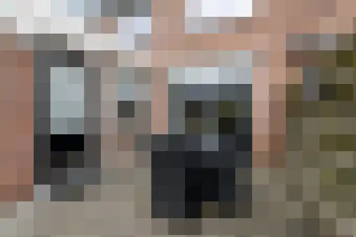 Ir.Lelylaan 101 Wolvega thumbnail 32