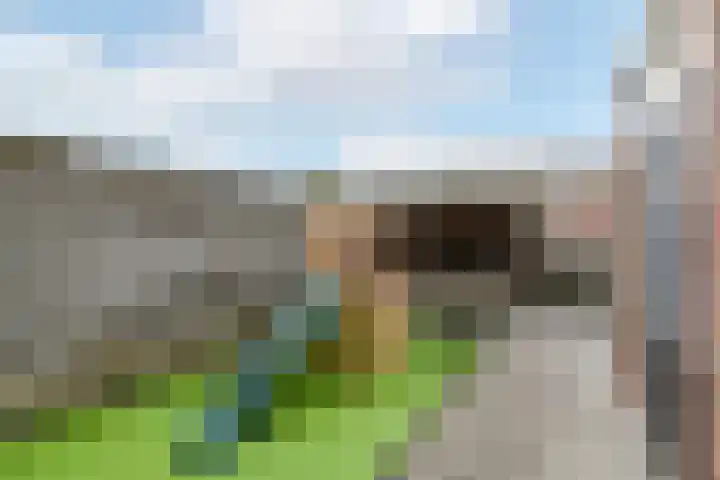 Ir.Lelylaan 101 Wolvega thumbnail 33