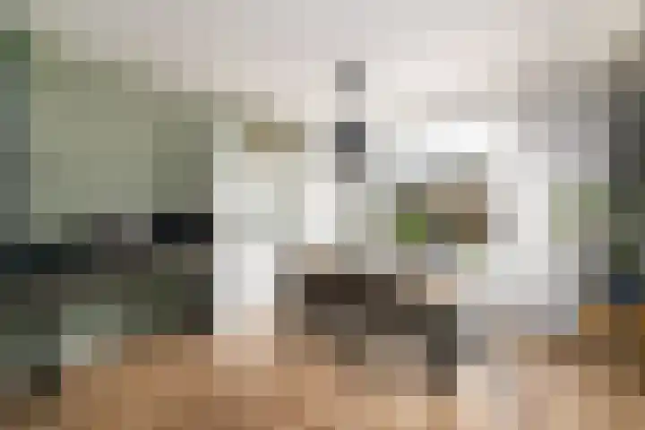 Ir.Lelylaan 101 Wolvega thumbnail 7