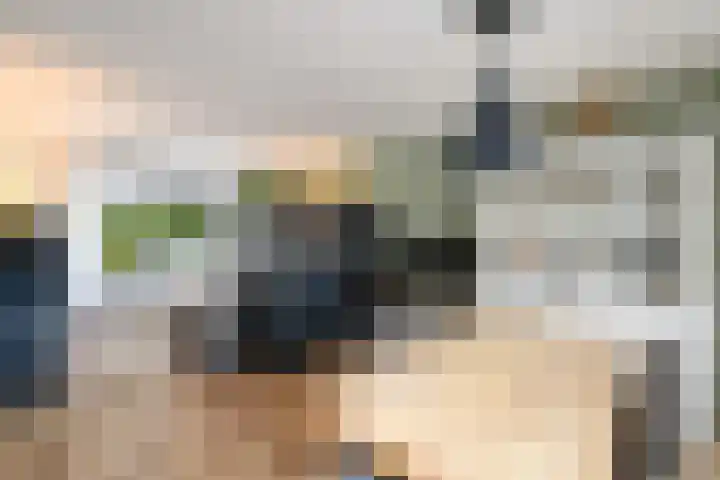 Ir.Lelylaan 101 Wolvega thumbnail 8