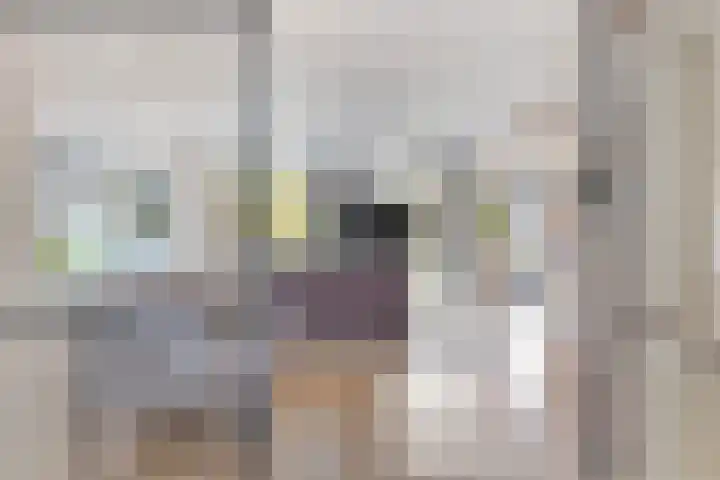 Iraklia 25 Hoofddorp thumbnail 16