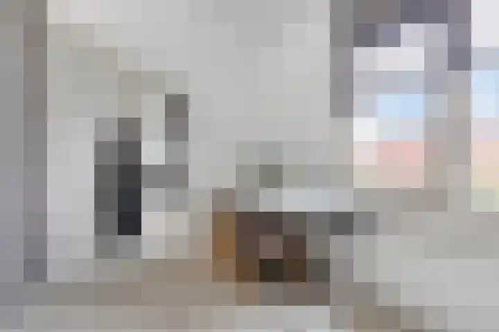 Iraklia 25 Hoofddorp thumbnail 46