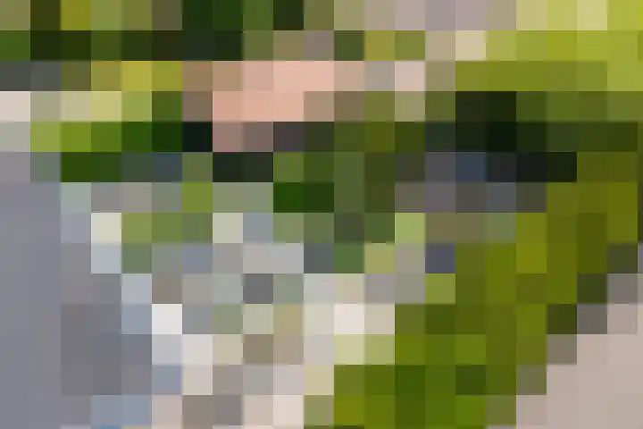 Iraklia 25 Hoofddorp thumbnail 51