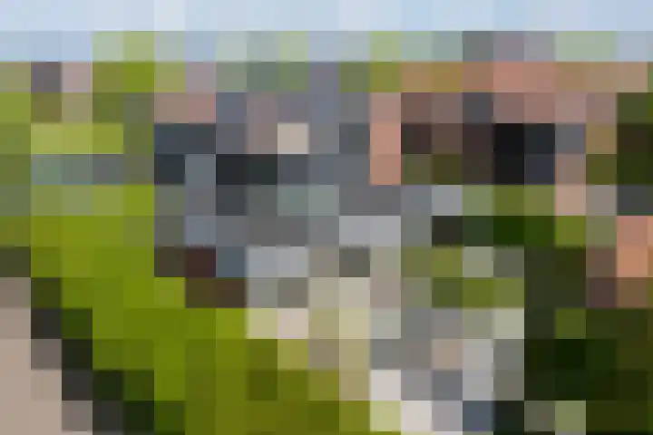 Iraklia 25 Hoofddorp thumbnail 63