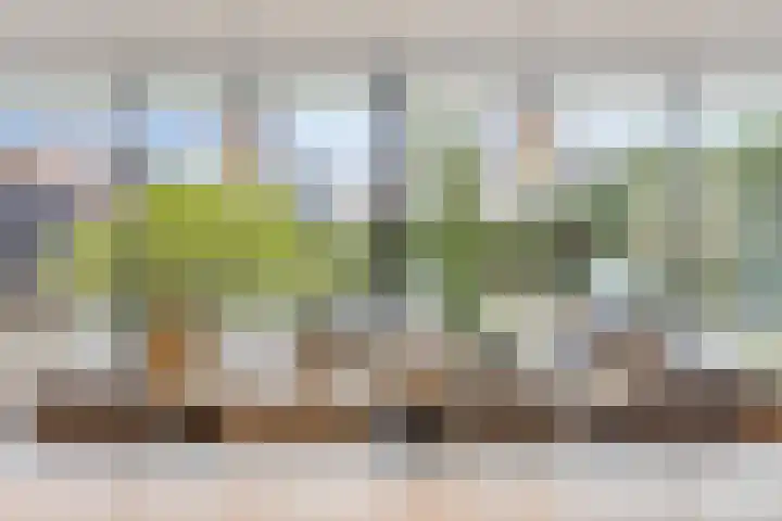 Iraklia 25 Hoofddorp thumbnail 7