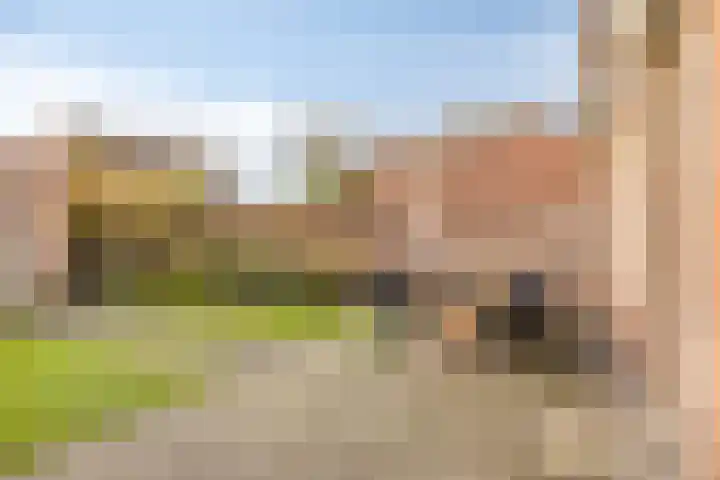 Iras 17 Heeze thumbnail 29