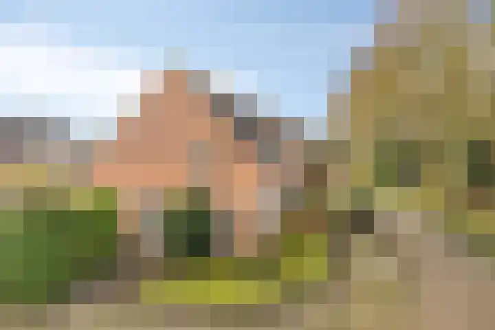 Iras 17 Heeze thumbnail 33