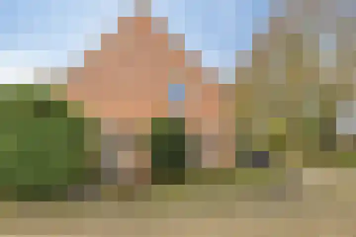 Iras 17 Heeze thumbnail 35