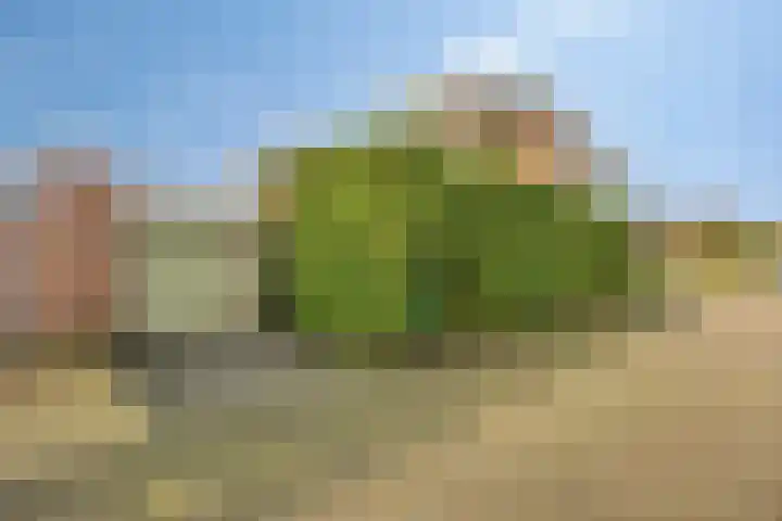 Iras 17 Heeze thumbnail 36