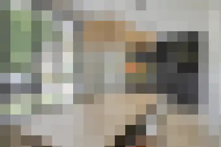 Iras 8 Heeze thumbnail 11