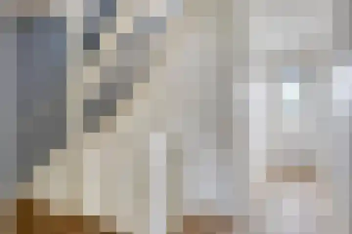 Iras 8 Heeze thumbnail 18