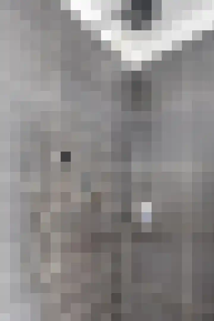 Iras 8 Heeze thumbnail 30