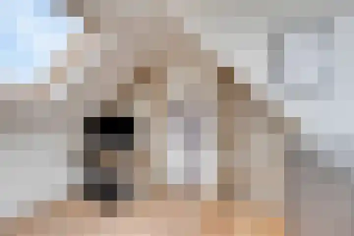 Iras 8 Heeze thumbnail 34
