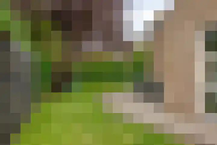 Iras 8 Heeze thumbnail 37